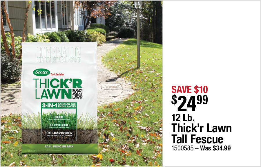 12 Lb. Thick'r Lawn Tall Fescue